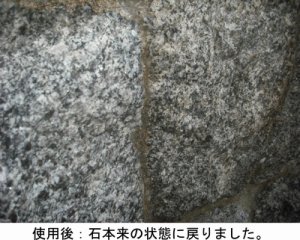 画像3: 石材用洗浄剤　エフロスカット １kg