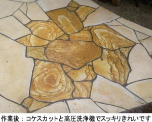 画像5: 石材用洗浄剤　コケスカット　１ｋｇ