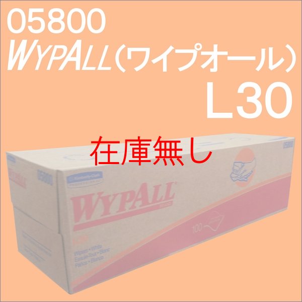 画像2: 産業用ワイパー　ワイプオール　WYPALL　 L30 (2)