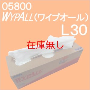 画像1: 産業用ワイパー　ワイプオール　WYPALL　 L30