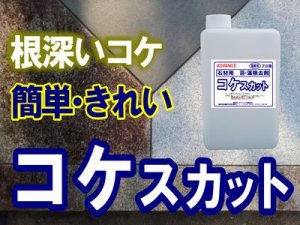 画像1: 石材用洗浄剤　コケスカット　１ｋｇ