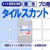 タイルの黒ずみ汚れ・水垢除去剤　タイルスカット　1kg