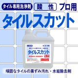 タイルの黒ずみ汚れ・水垢除去剤　タイルスカット　4kg