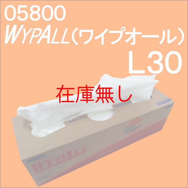 画像1: 産業用ワイパー　ワイプオール　WYPALL　 L30 (1)